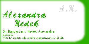 alexandra medek business card